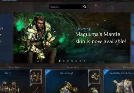 Best Gemstore Items In Guild Wars 2 Beginners Guide