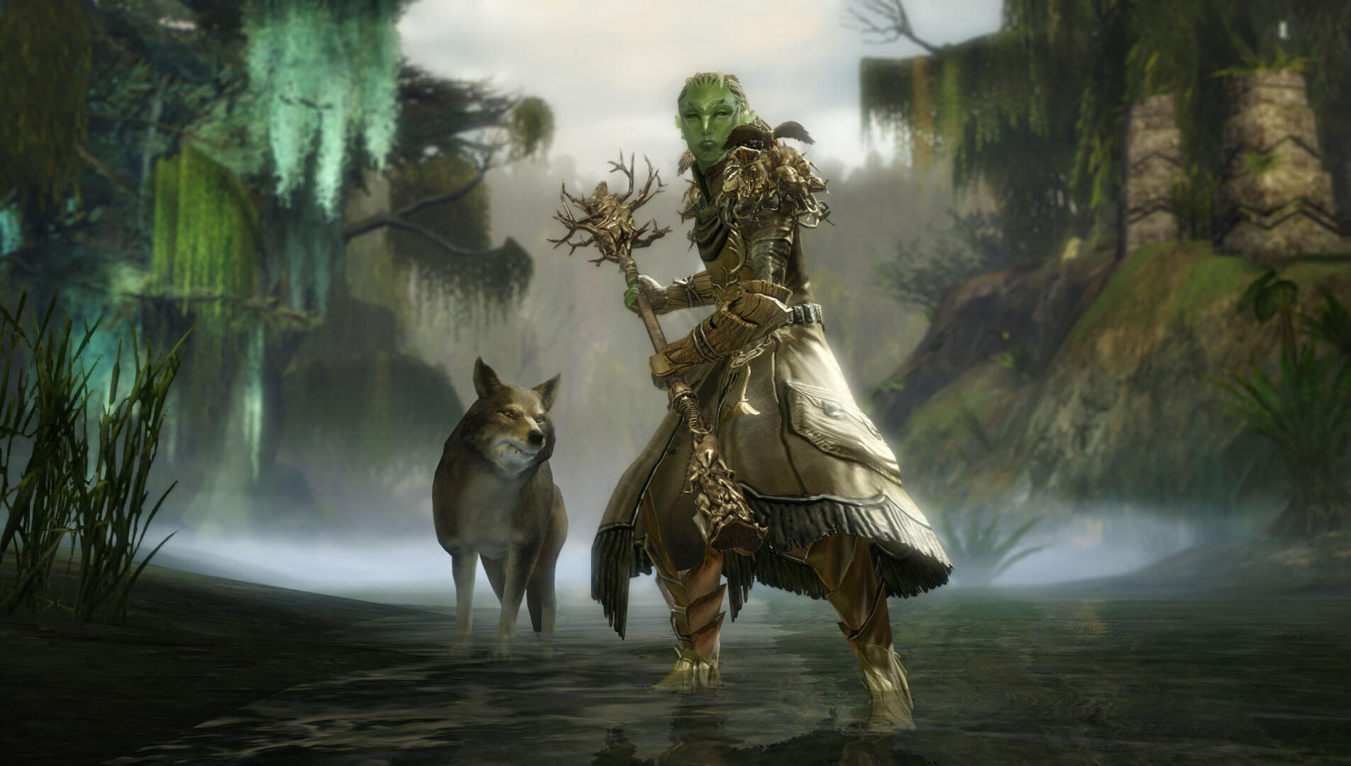 Guild Wars 2 Druids