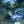 Guild Wars 2